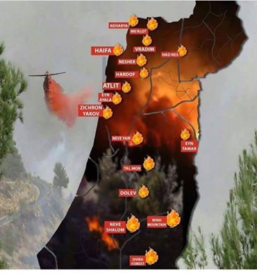palestine-feux